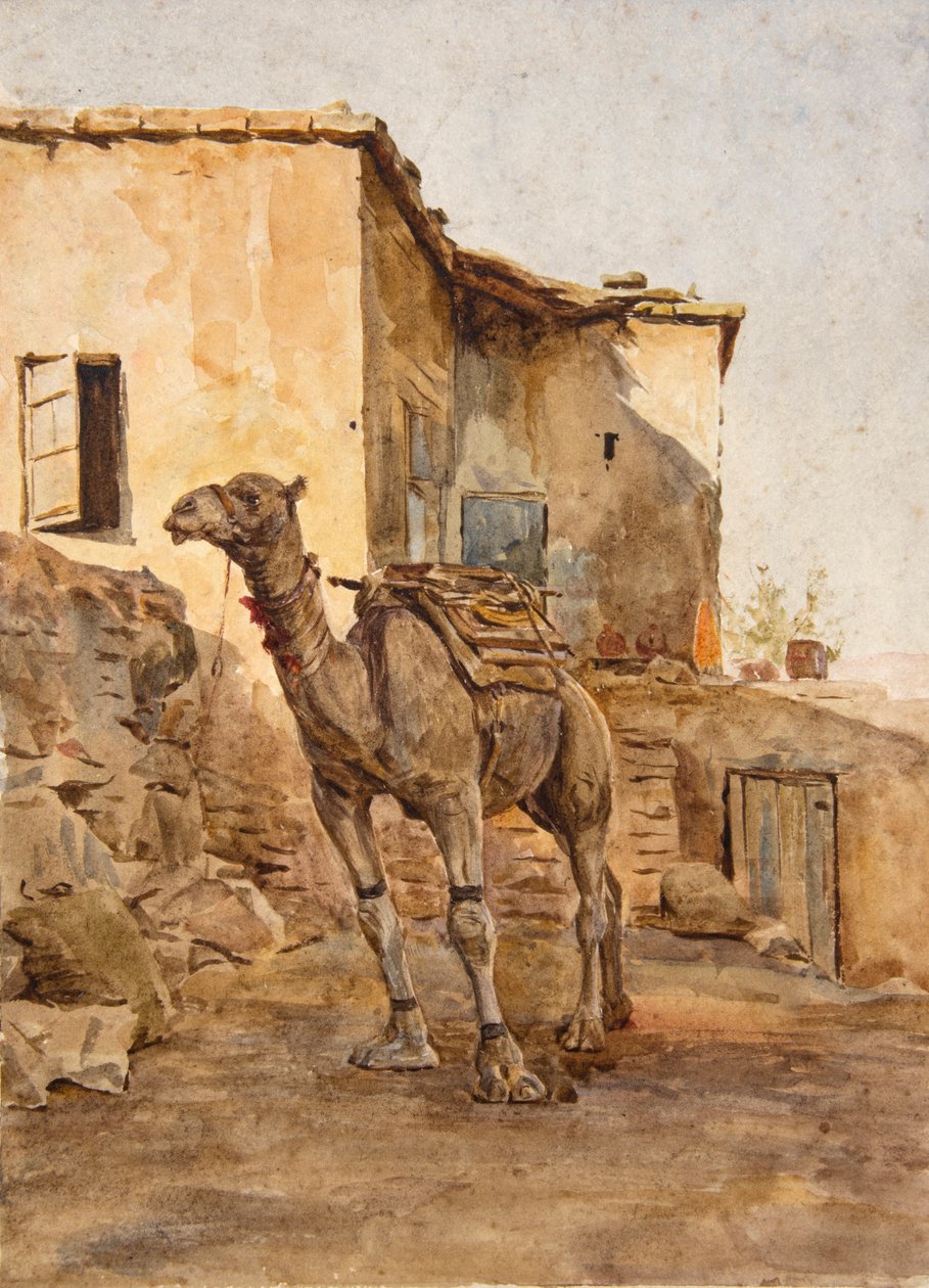 Camelo amarrado (aguarela) de Walter Frederick Roofe Tyndale