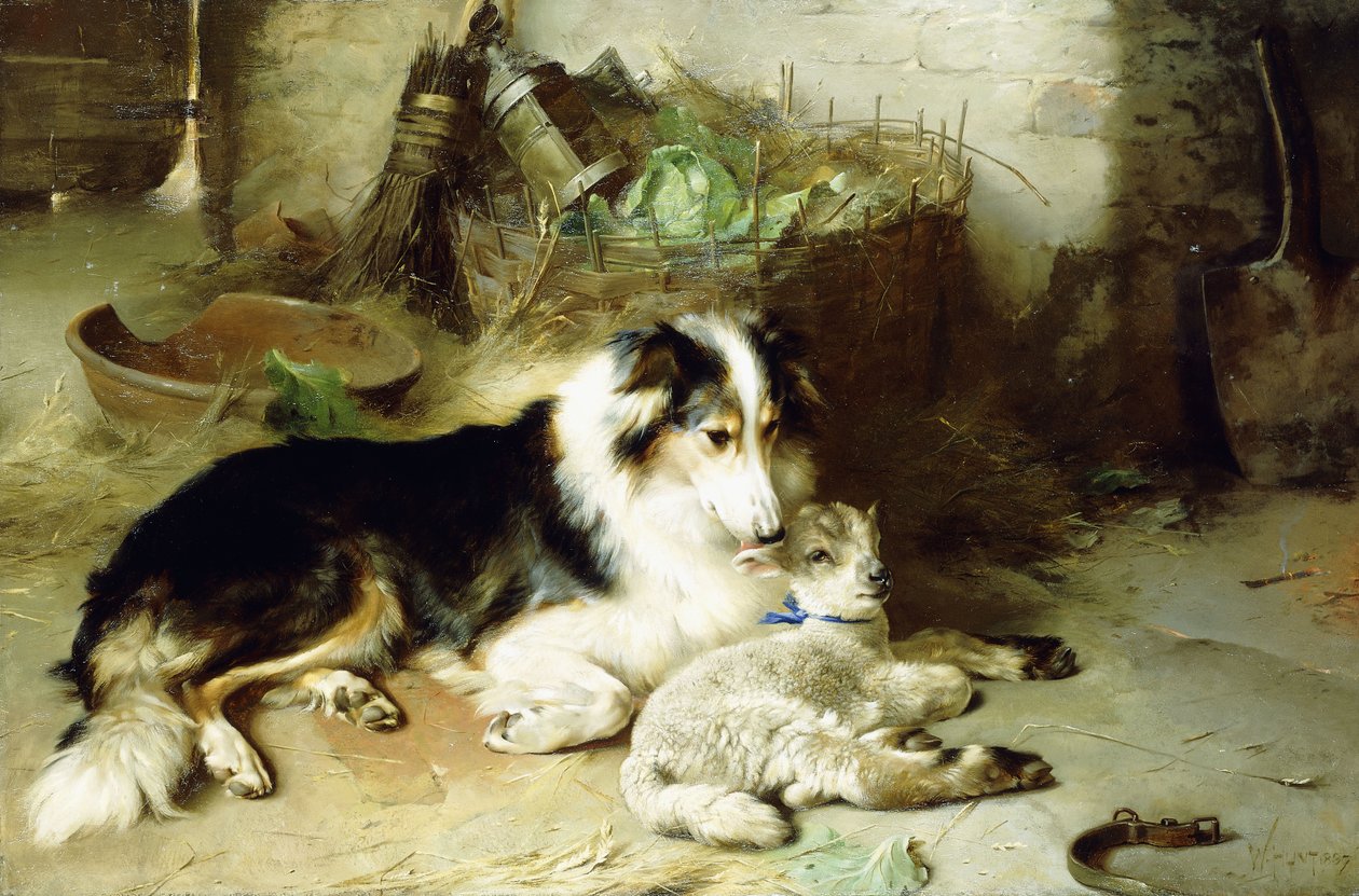 Sem mãe - o animal de estimação do pastor de Walter Hunt