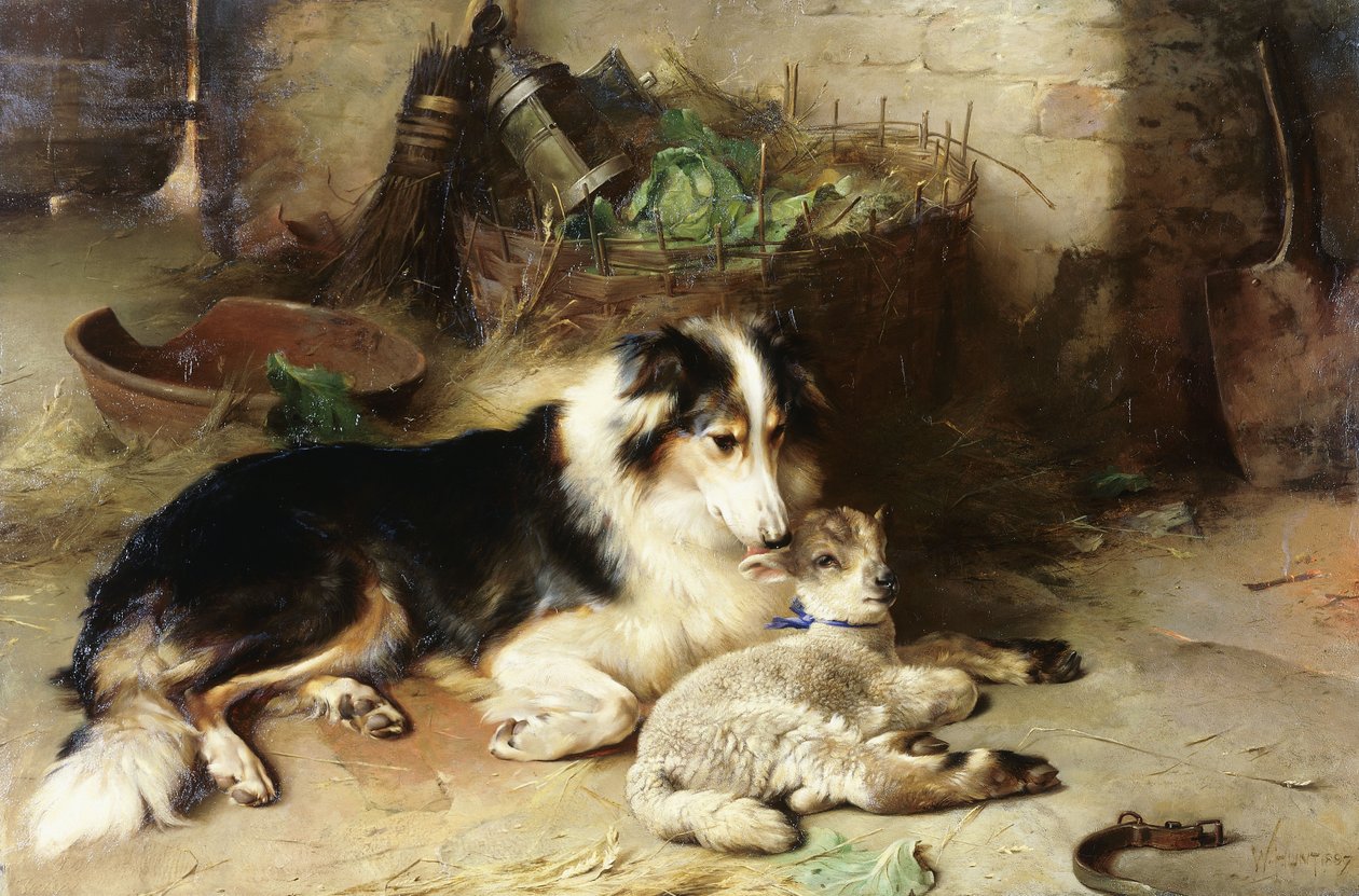 Órfão: o animal de estimação do pastor de Walter Hunt