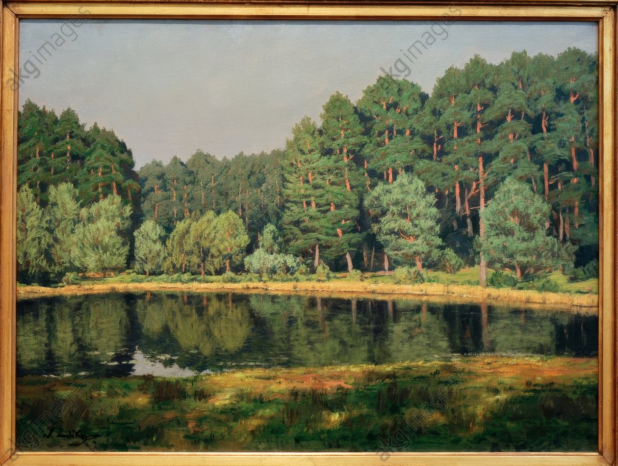 Paisagem florestal com lago em Brandemburgo de Walter Leistikow