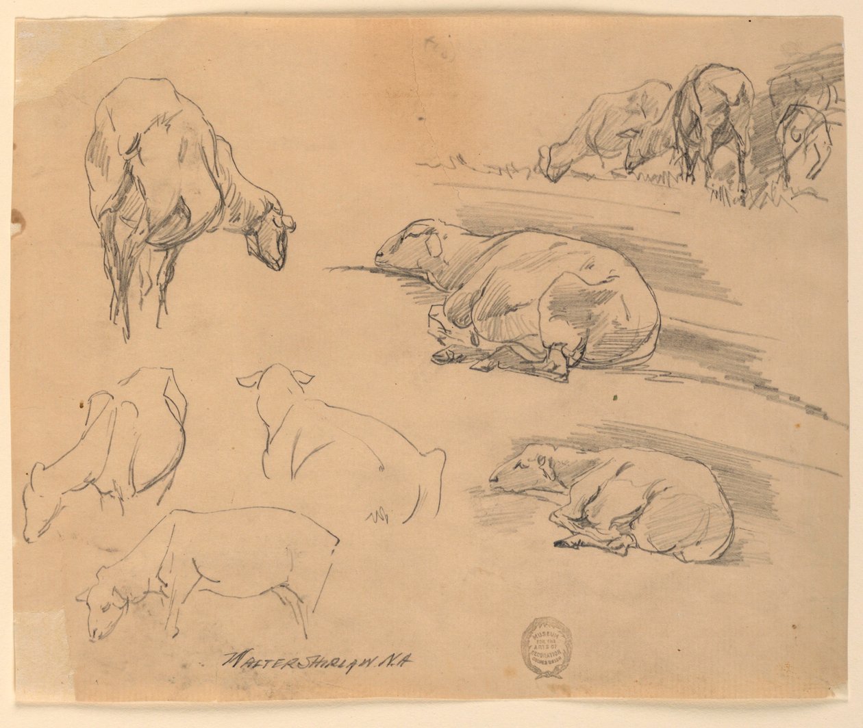 Esboços de ovelhas de Walter Shirlaw