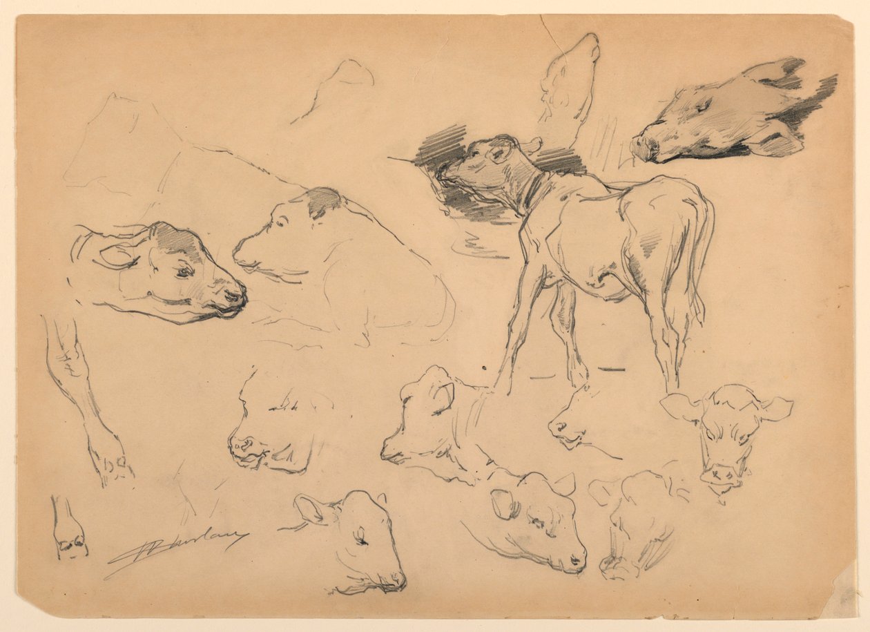 Estudos de gado, cabeças de ovelha e um porco de Walter Shirlaw