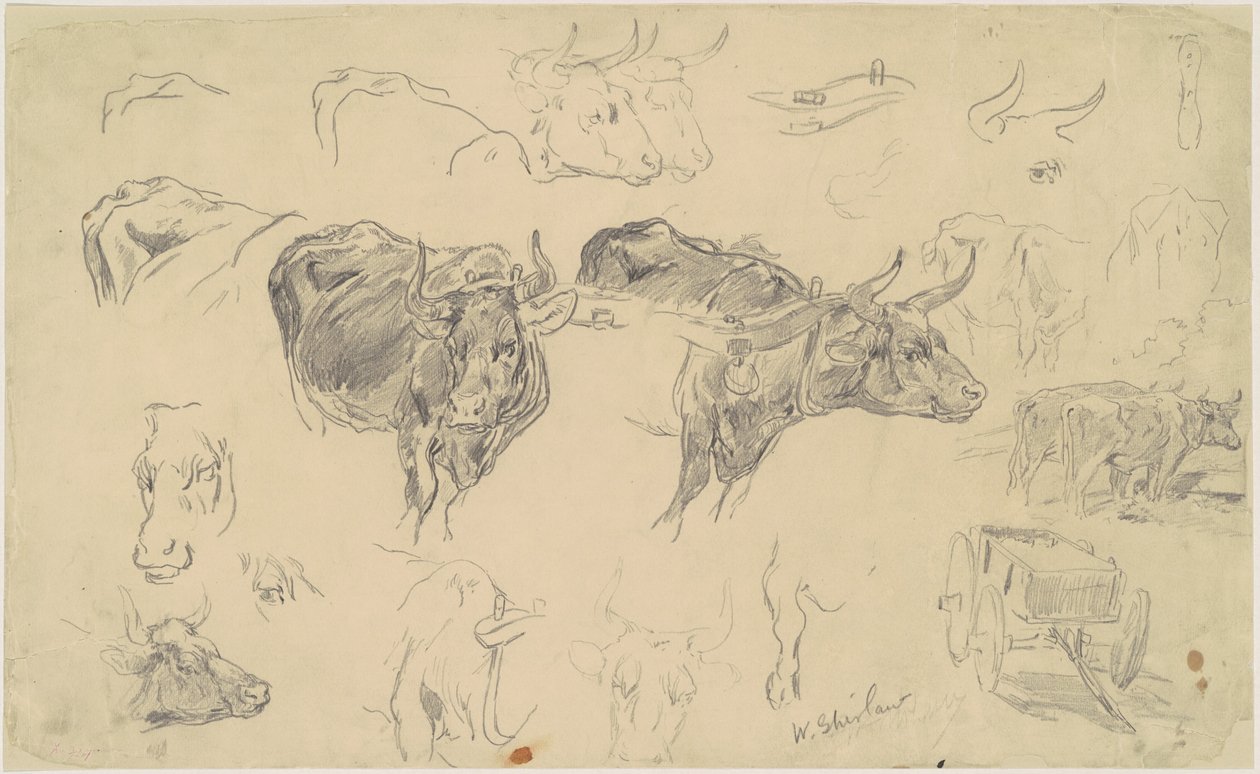 Estudos de bois de Walter Shirlaw