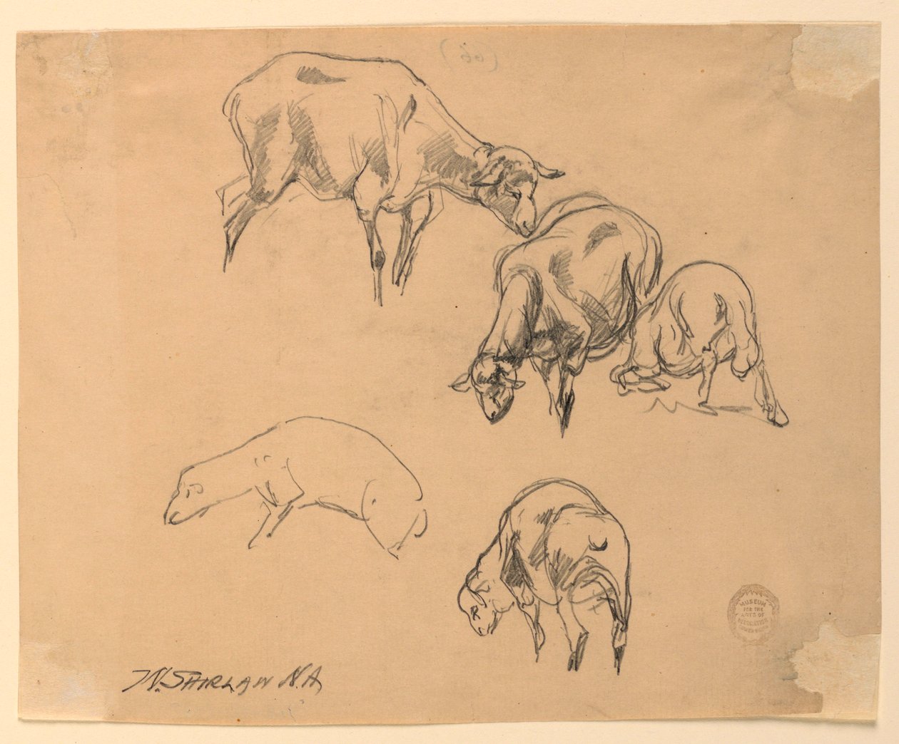 Estudos de ovelhas de Walter Shirlaw