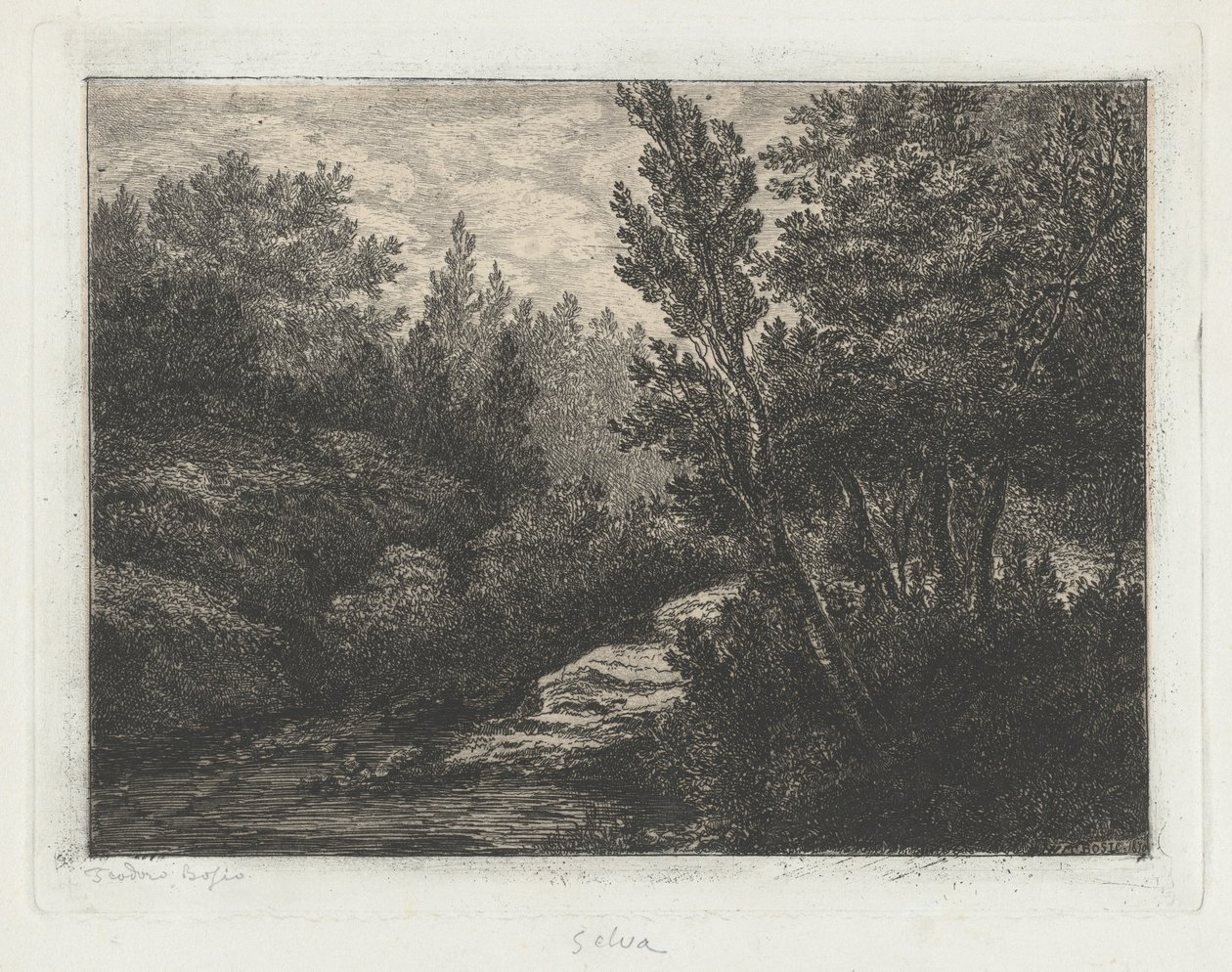 Selva (Bosques) de Walter Teodoro Bosio