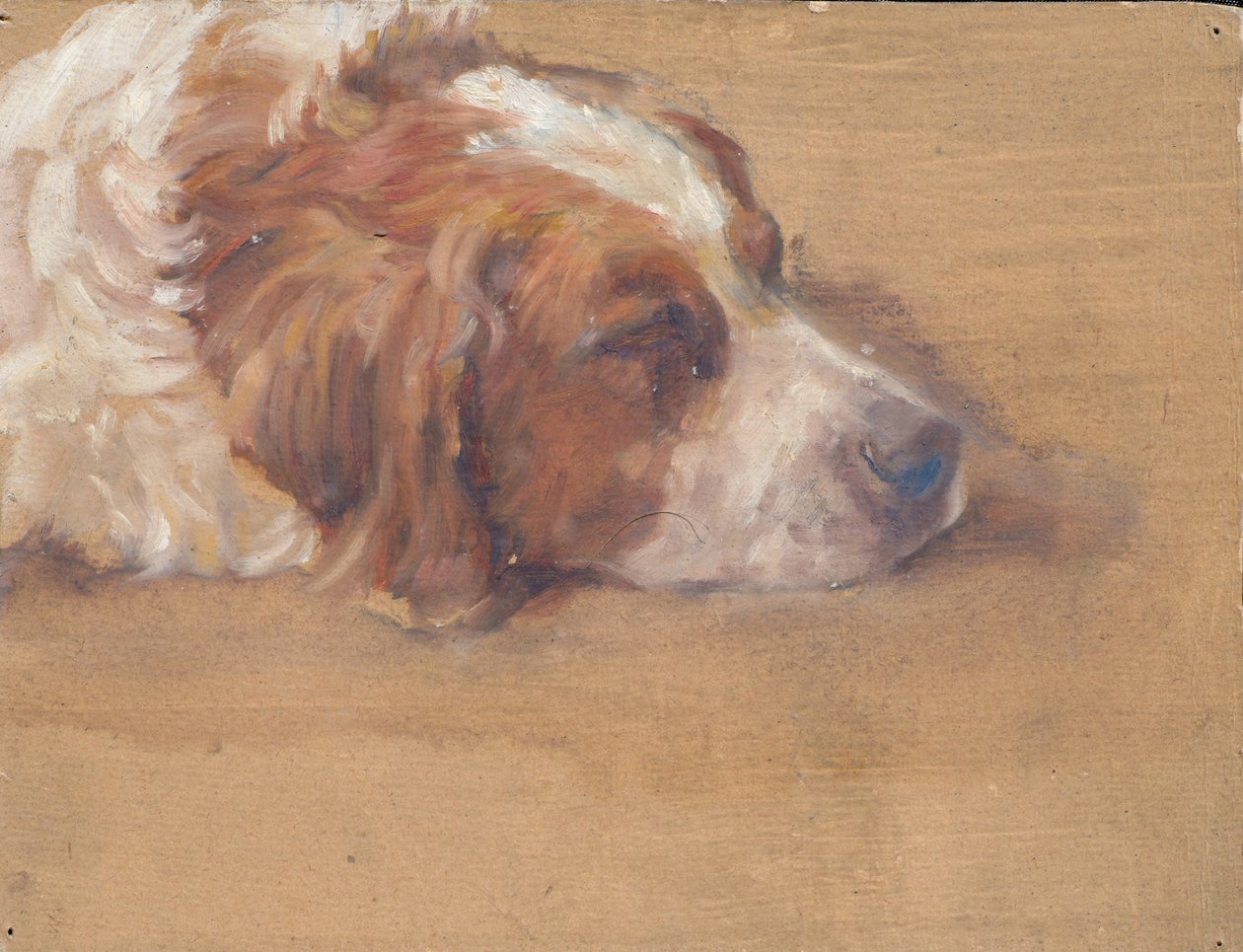 Cabeça de cão (estudo) de Walther Gamerith