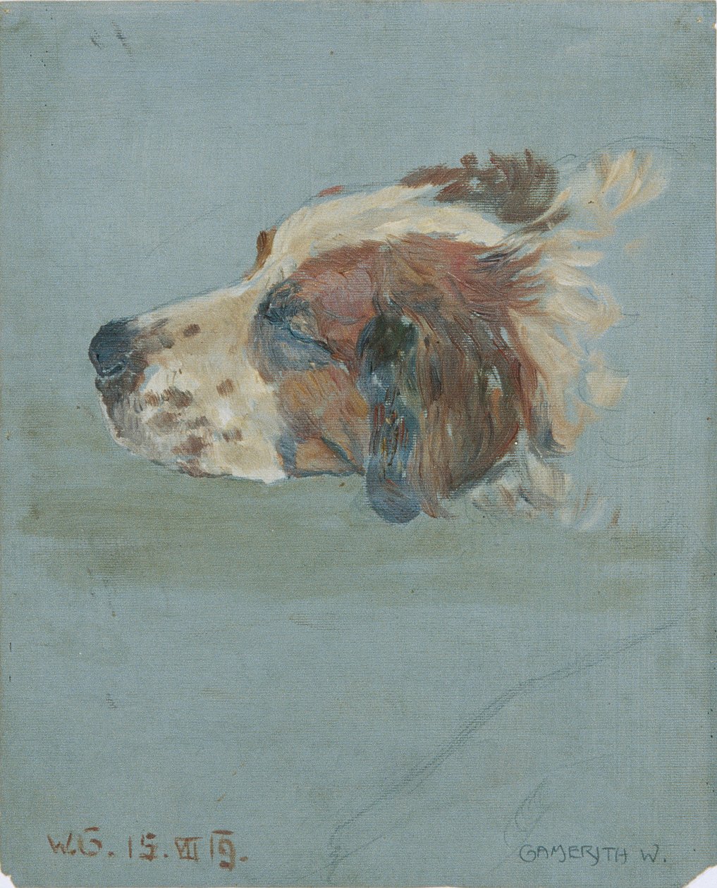Cabeça de cão de Walther Gamerith