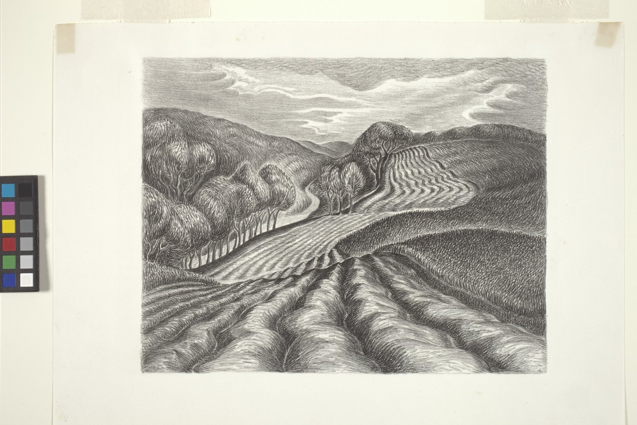 Campos arados (tinta, lápis) de Wanda Gág