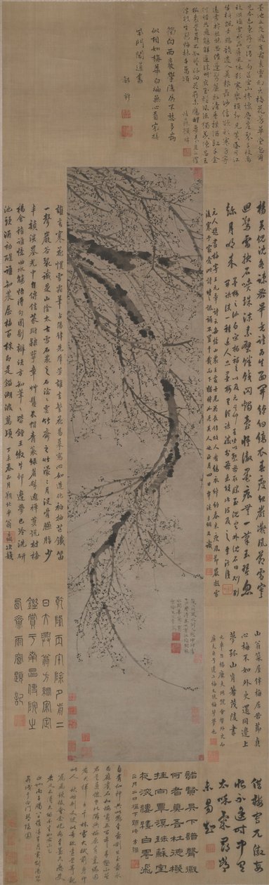 Ameixa de tinta de Wang Mian