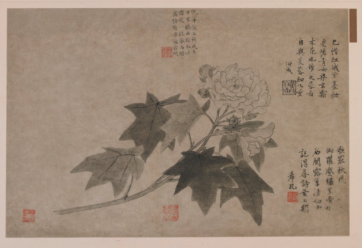 Hibiscus, 1347. de Wang Yuan