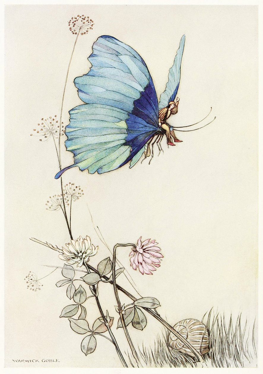 A borboleta tomou a asa, e montou no ar com o pequeno Tom em suas costas, do livro da fada, bar. 1913 de Warwick Goble