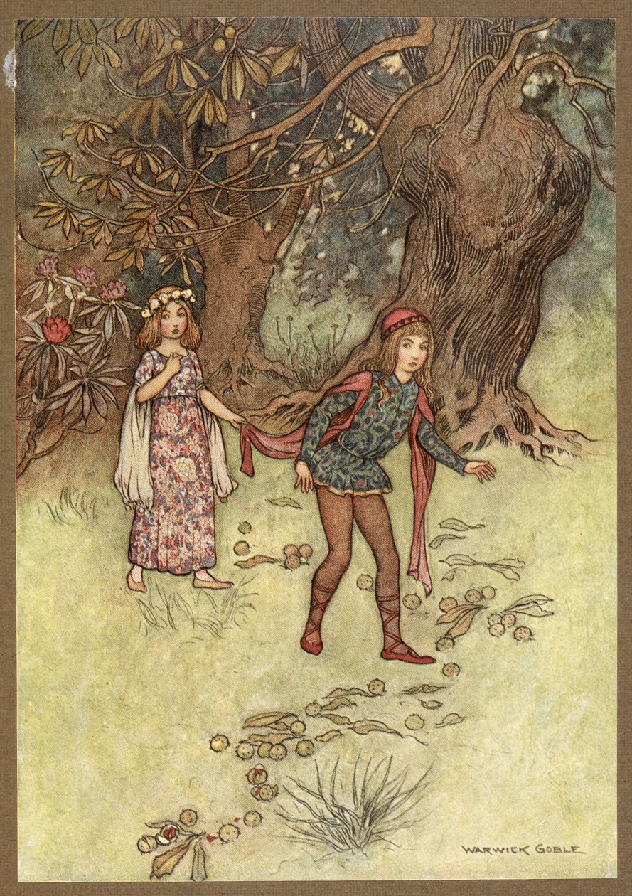 Nennillo e Nennella na Madeira, de Nennillo e Nennella. de Warwick Goble
