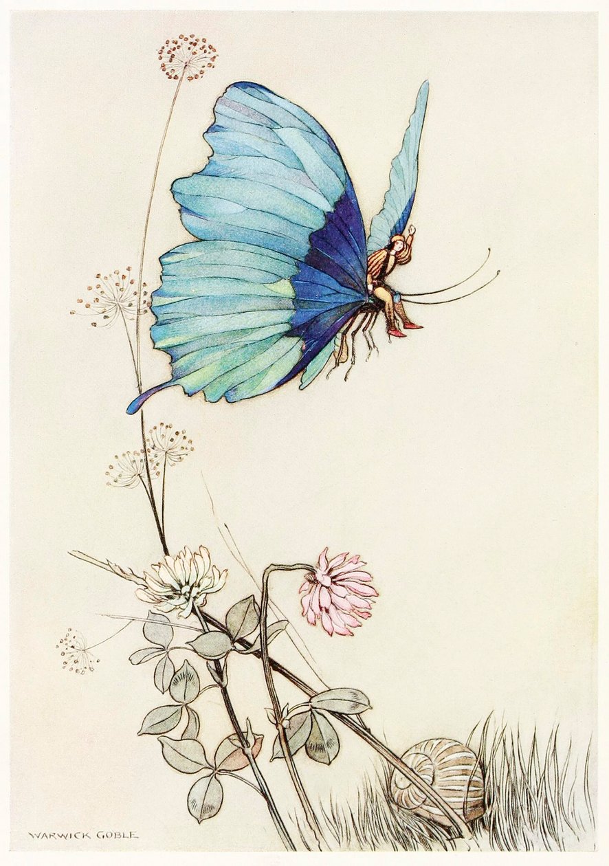 A borboleta levantou asas e montou no ar com o pequeno Tom nas costas, de The Fairy Book,1 de Warwick Goble
