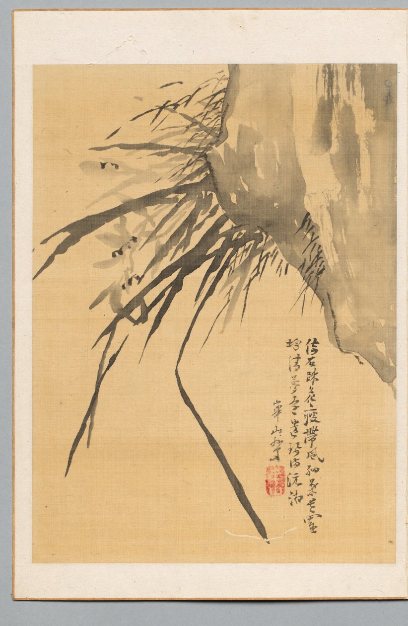 Orquídea de Watanabe Kazan