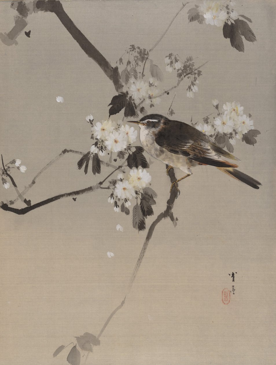 Aves em um ramo florido, ca. 1887. de Watanabe Seitei