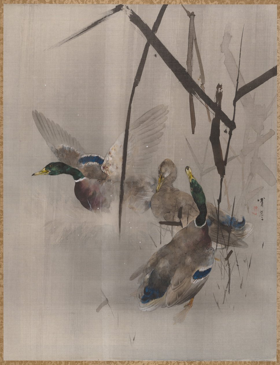 Patos nos juncos, ca. 1887 de Watanabe Seitei