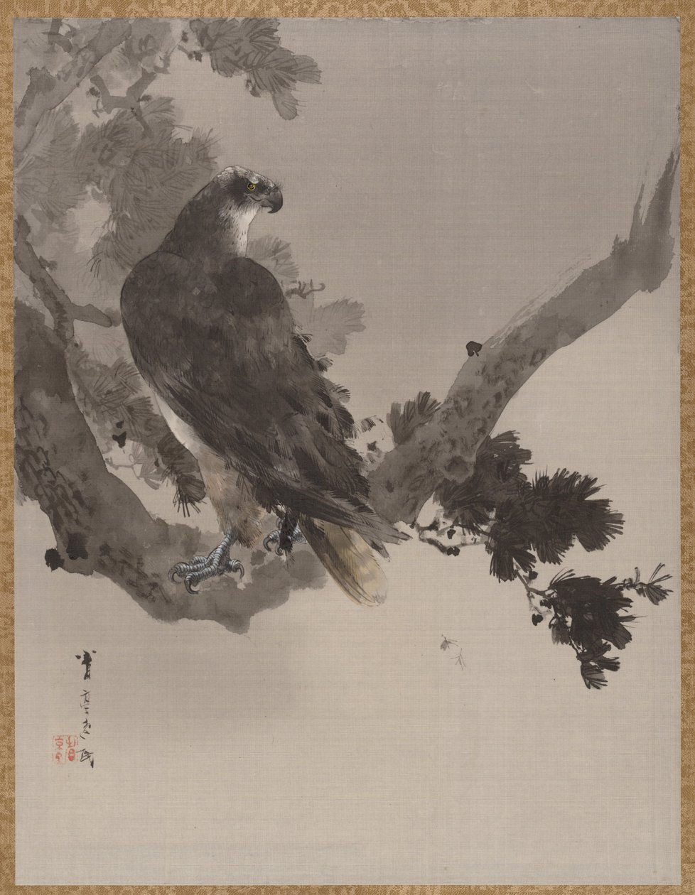 Águia em uma árvore, ca. 1887 de Watanabe Seitei
