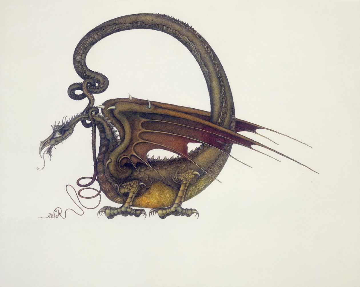 D de Dragão de Wayne Anderson