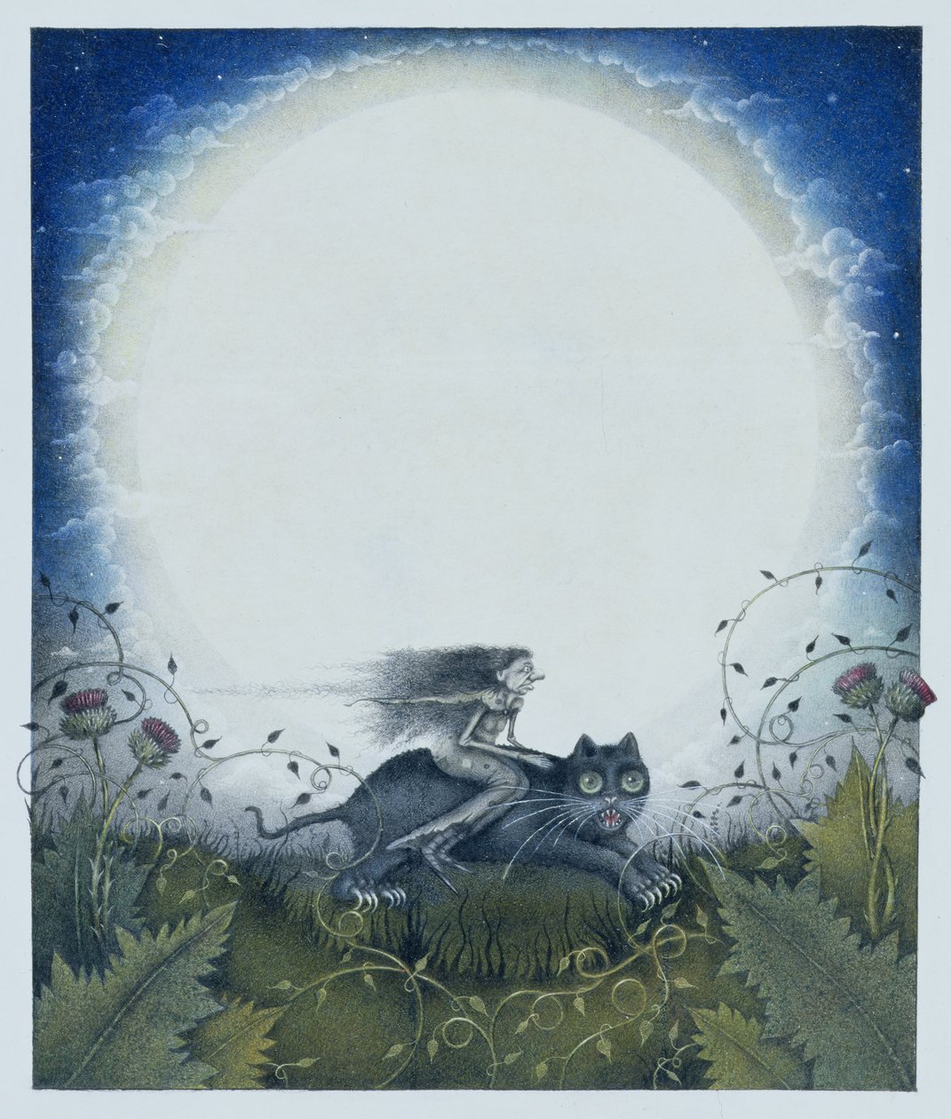 Bruxa escocesa num gato preto (lápis e lápis de cor sobre papel) de Wayne Anderson