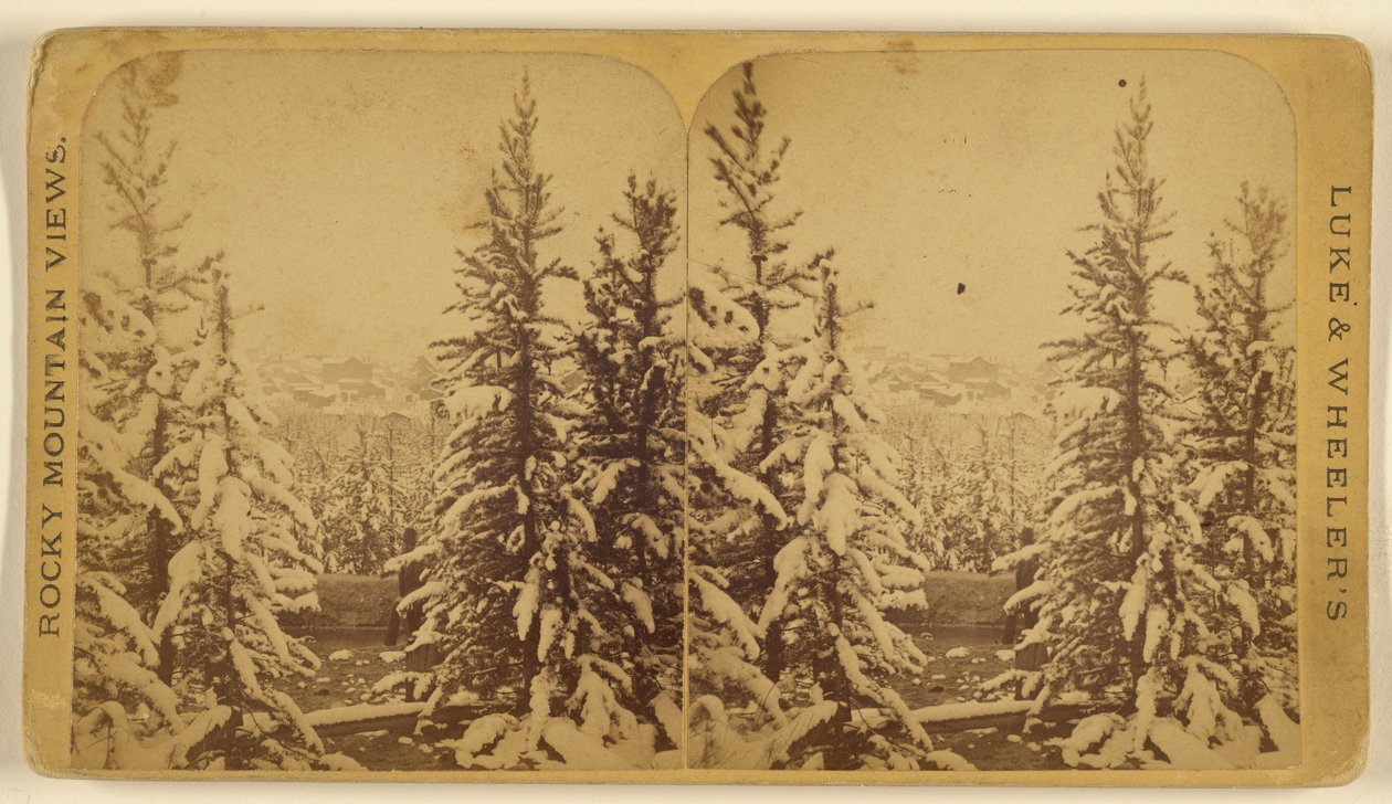 [Árvores com neve, Leadville, Colorado]. de Wellington O. Luke and Dansford Noble Wheeler