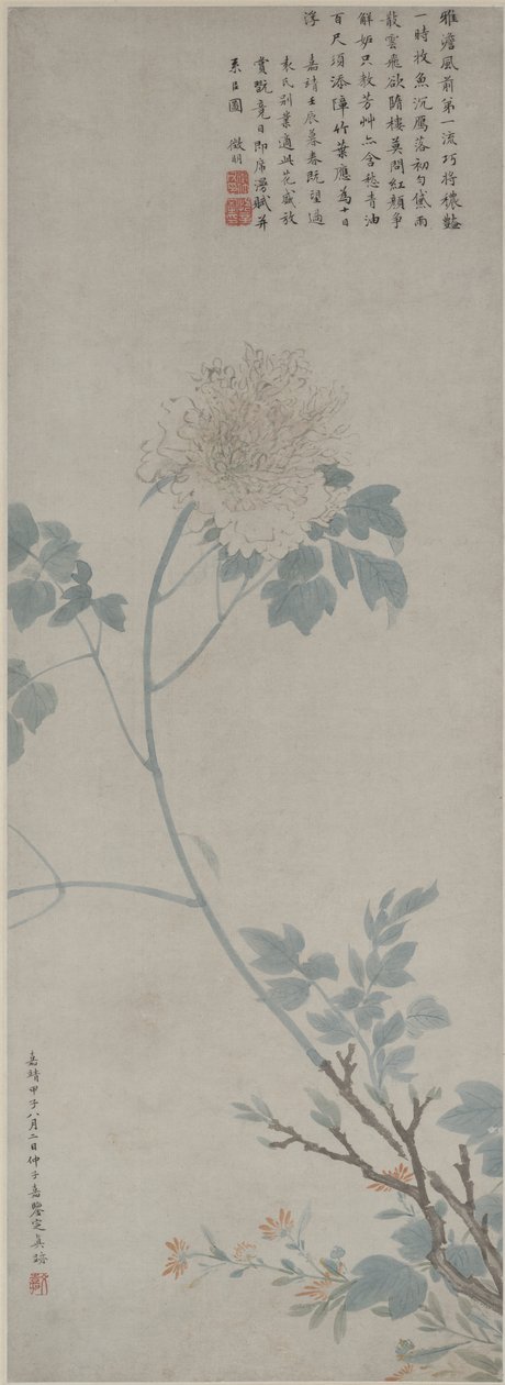 Peônia, Pergaminho Pendurado, 1532 (tinta e cor no papel) de Wen Zhengming