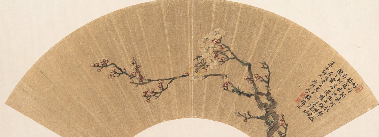 Plum Blossoms, datada de 1670. de Wen Zhi
