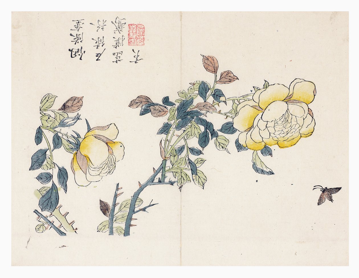 Jardim de sementes de mostarda de Wen shu Chao