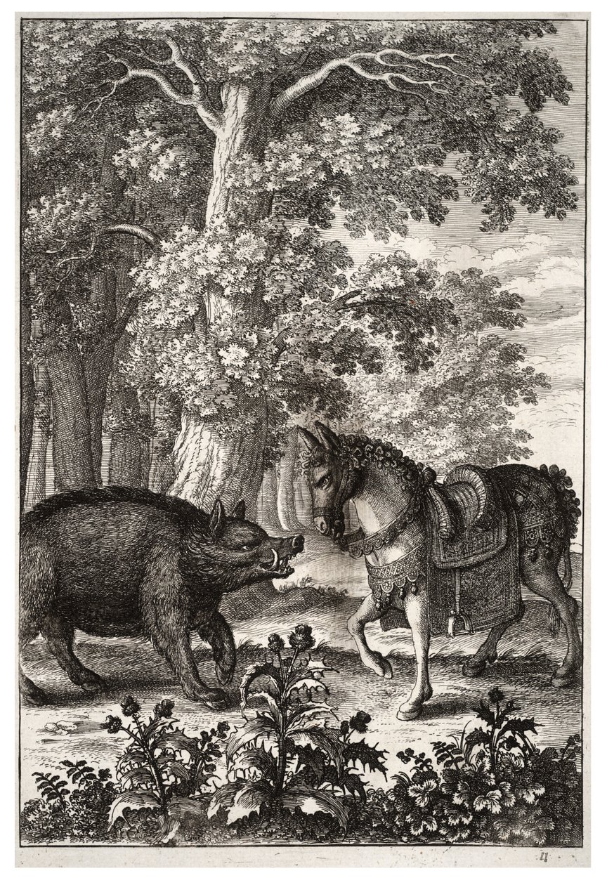 Javali e cu de Wenceslaus Hollar