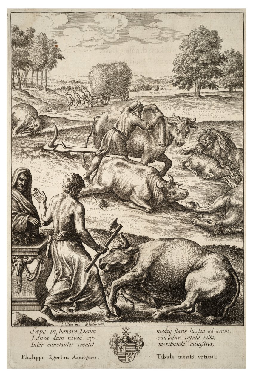 Peste bovina. Estado 2 de Wenceslaus Hollar