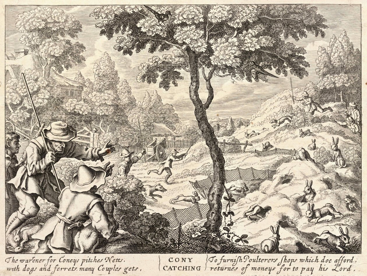 Coney pegando de Wenceslaus Hollar