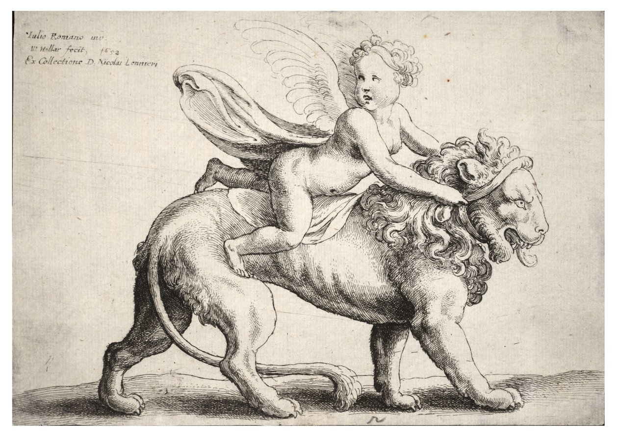 Cupido em um leão, depois de Giulio Romano de Wenceslaus Hollar