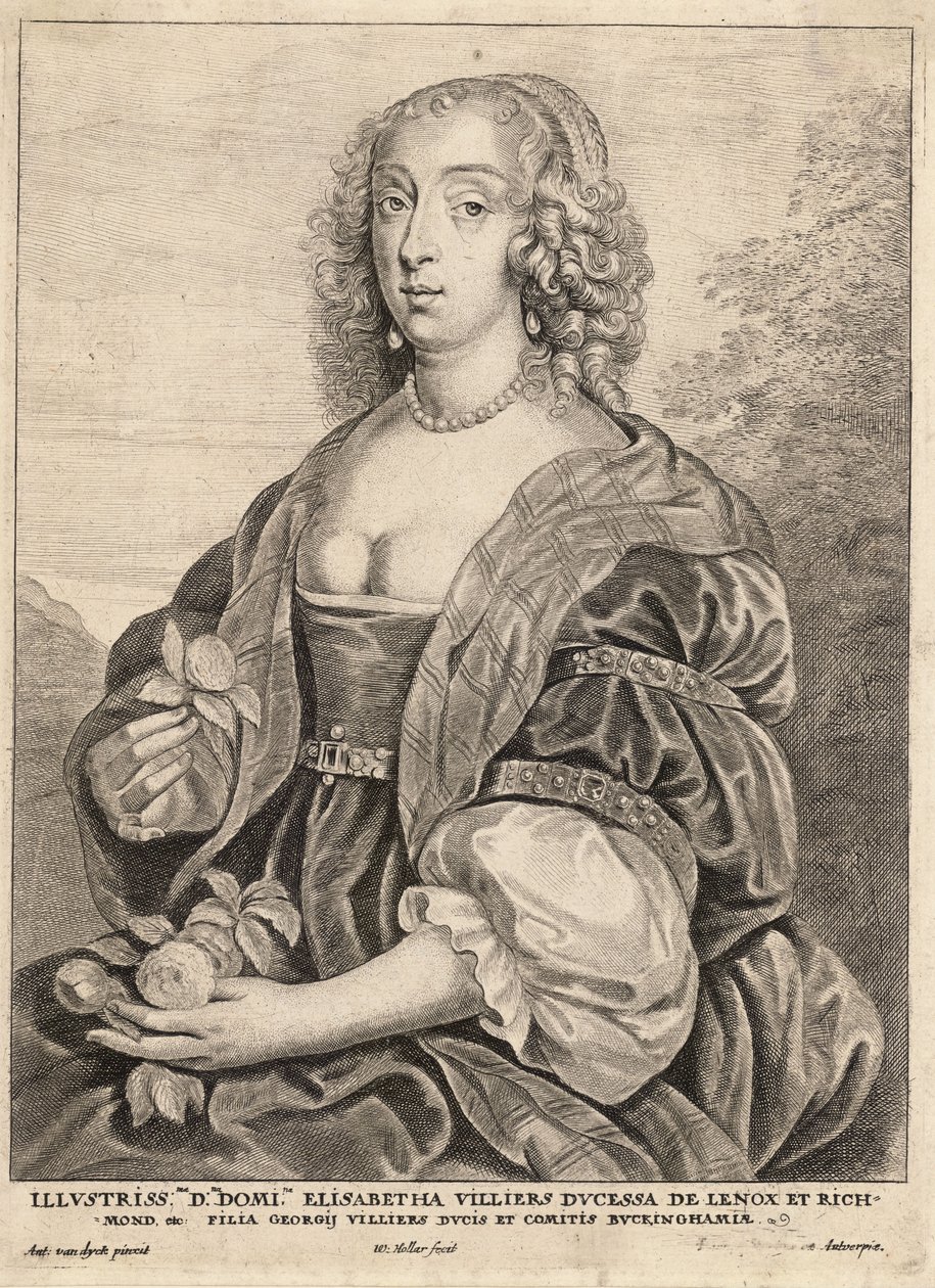 Duquesa de Lennox, depois de van Dyck. Estado 5 de Wenceslaus Hollar