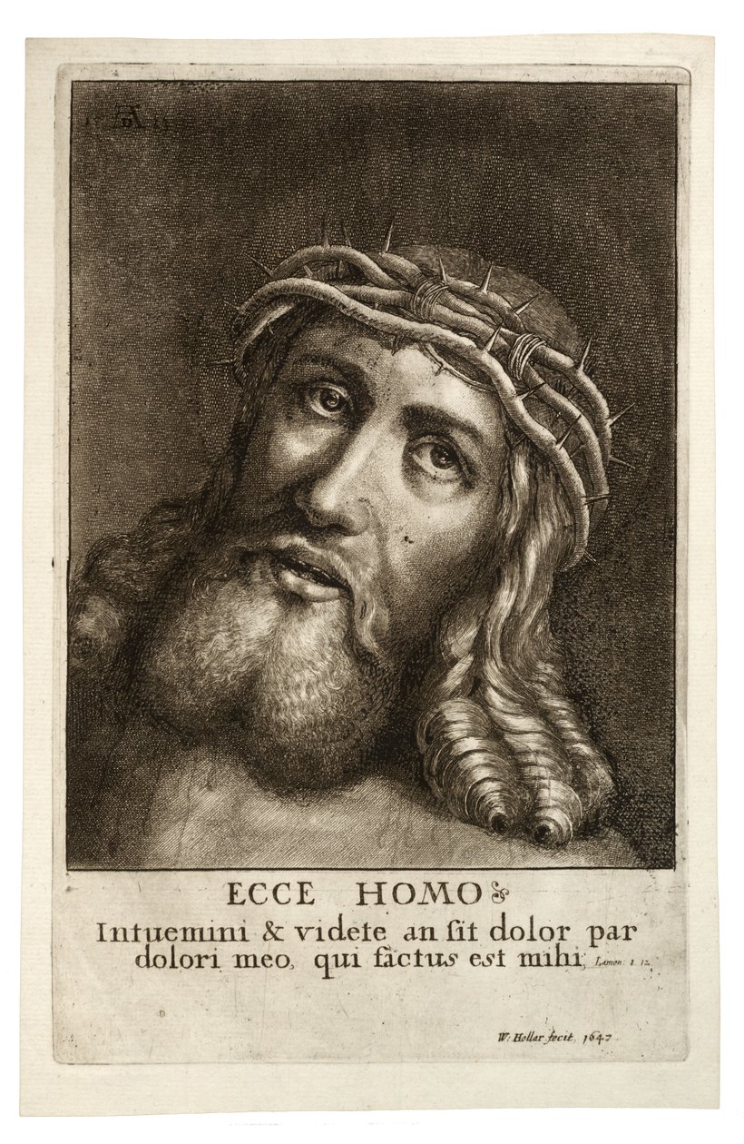 Veja, cara. Estado 2 de Wenceslaus Hollar