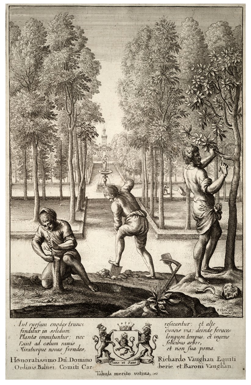 Jardinagem. Estado 1 de Wenceslaus Hollar