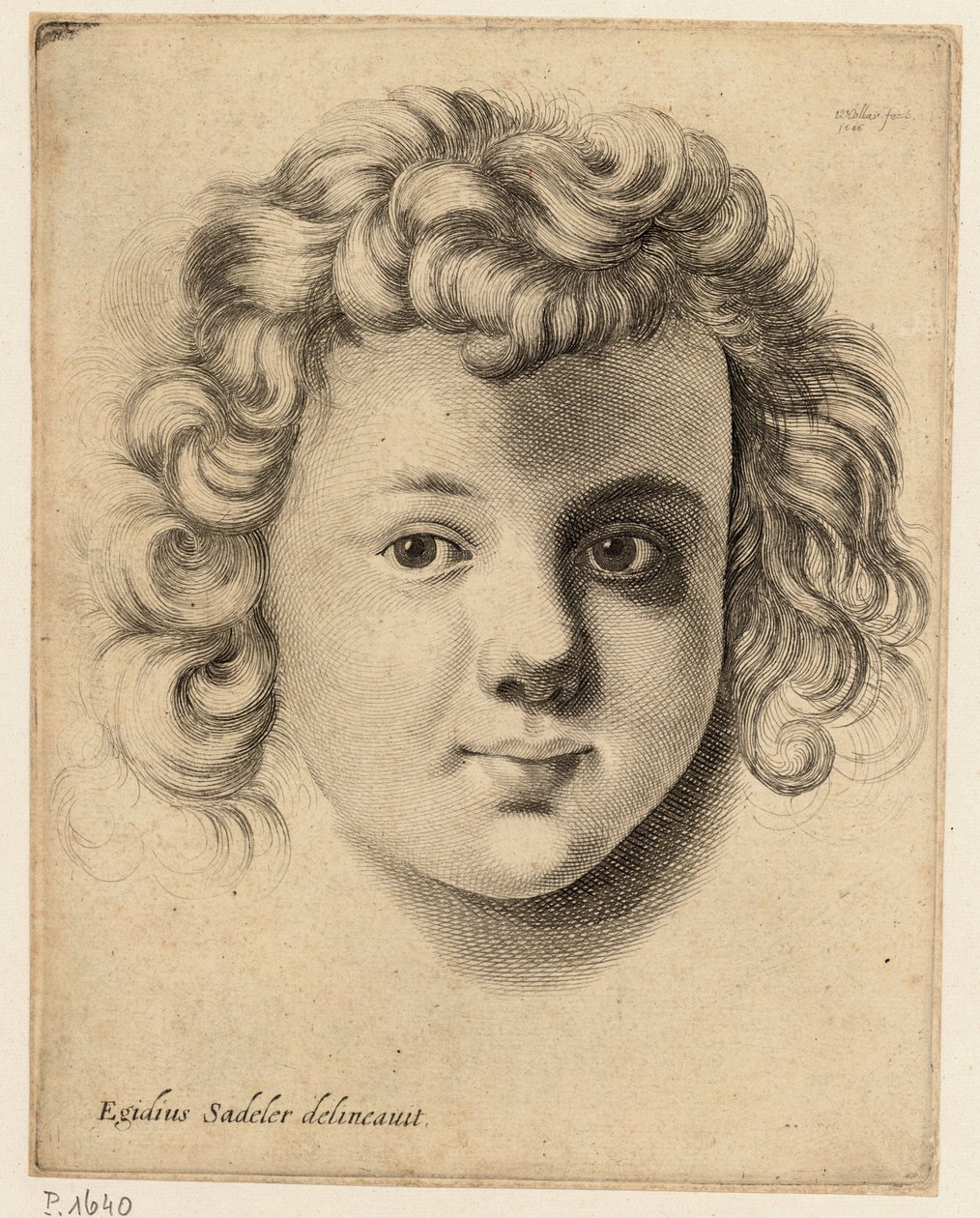 Cabeça de uma criança, depois de Sadeler de Wenceslaus Hollar