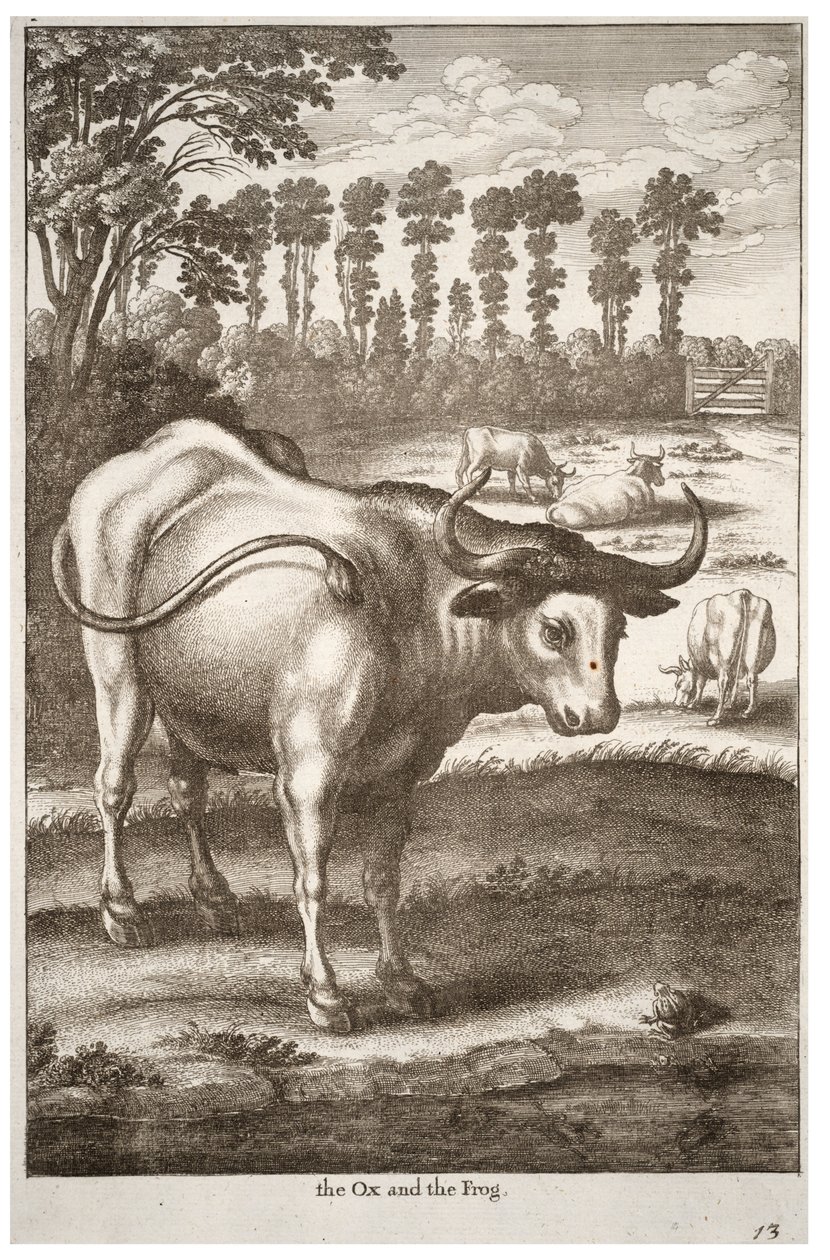 Boi e sapo de Wenceslaus Hollar