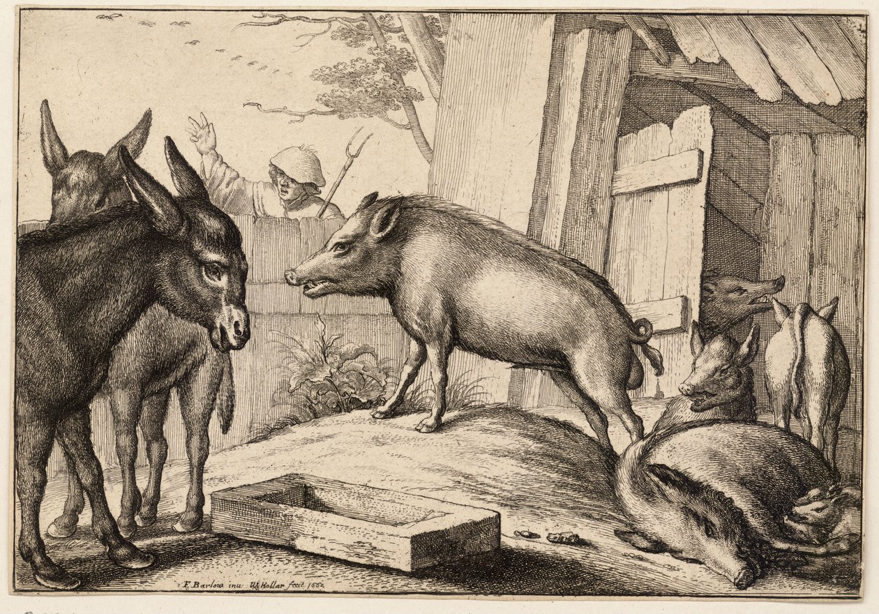 Porcos e burros de Wenceslaus Hollar