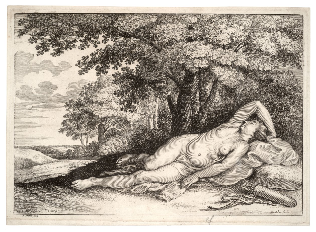 Dormindo caçadora. Estado 2 de Wenceslaus Hollar