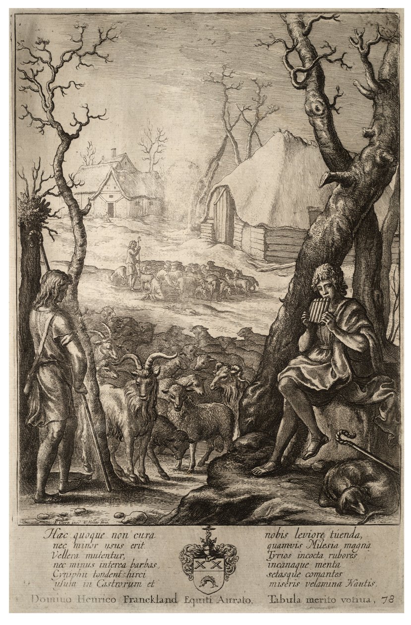 Criação de gado. Estado 3 de Wenceslaus Hollar