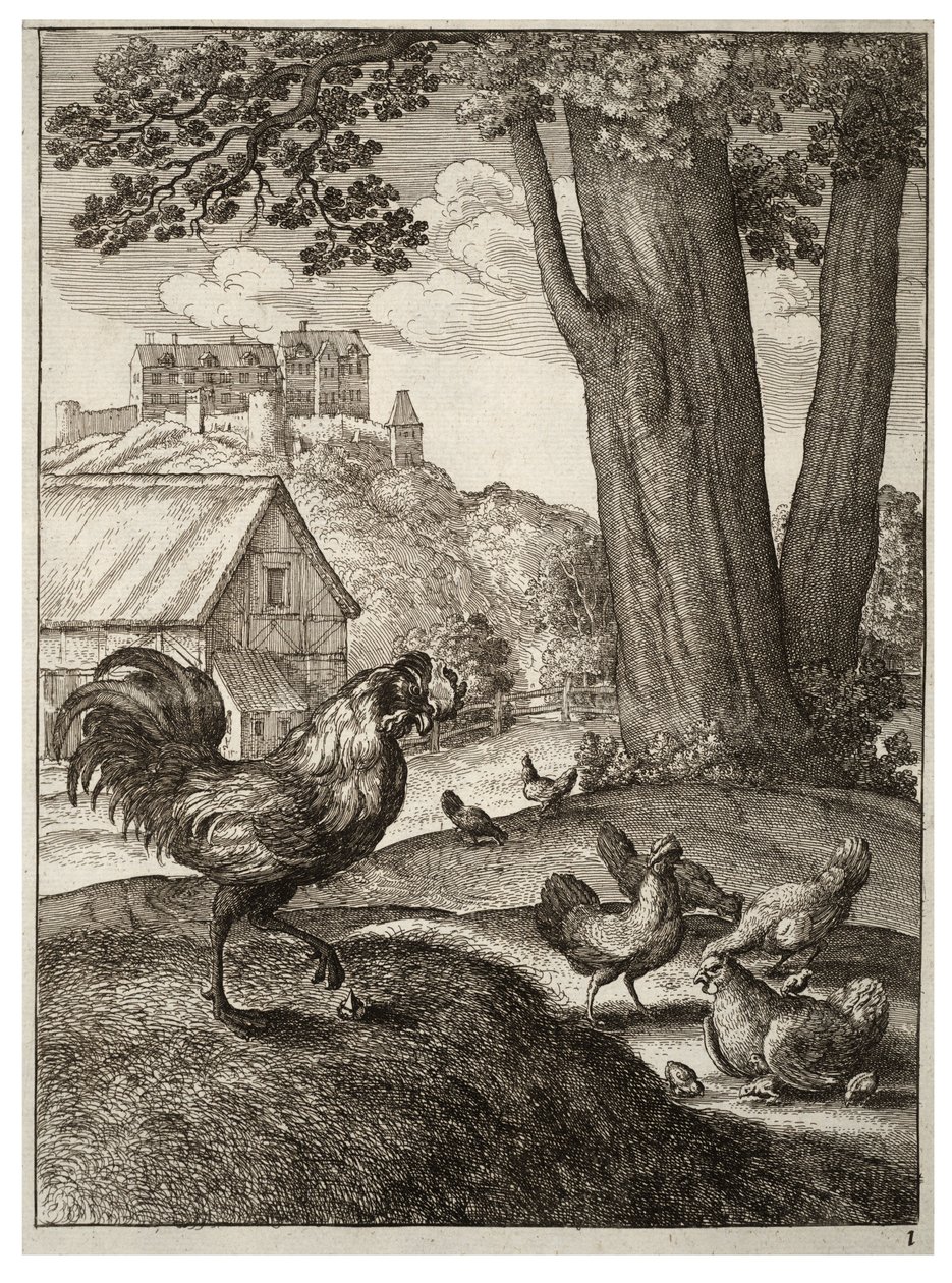 O pau e a joia de Wenceslaus Hollar