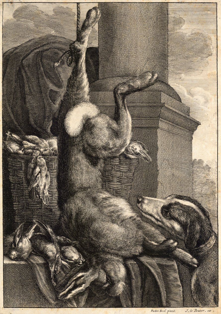 A lebre morta. Estado 2 de Wenceslaus Hollar