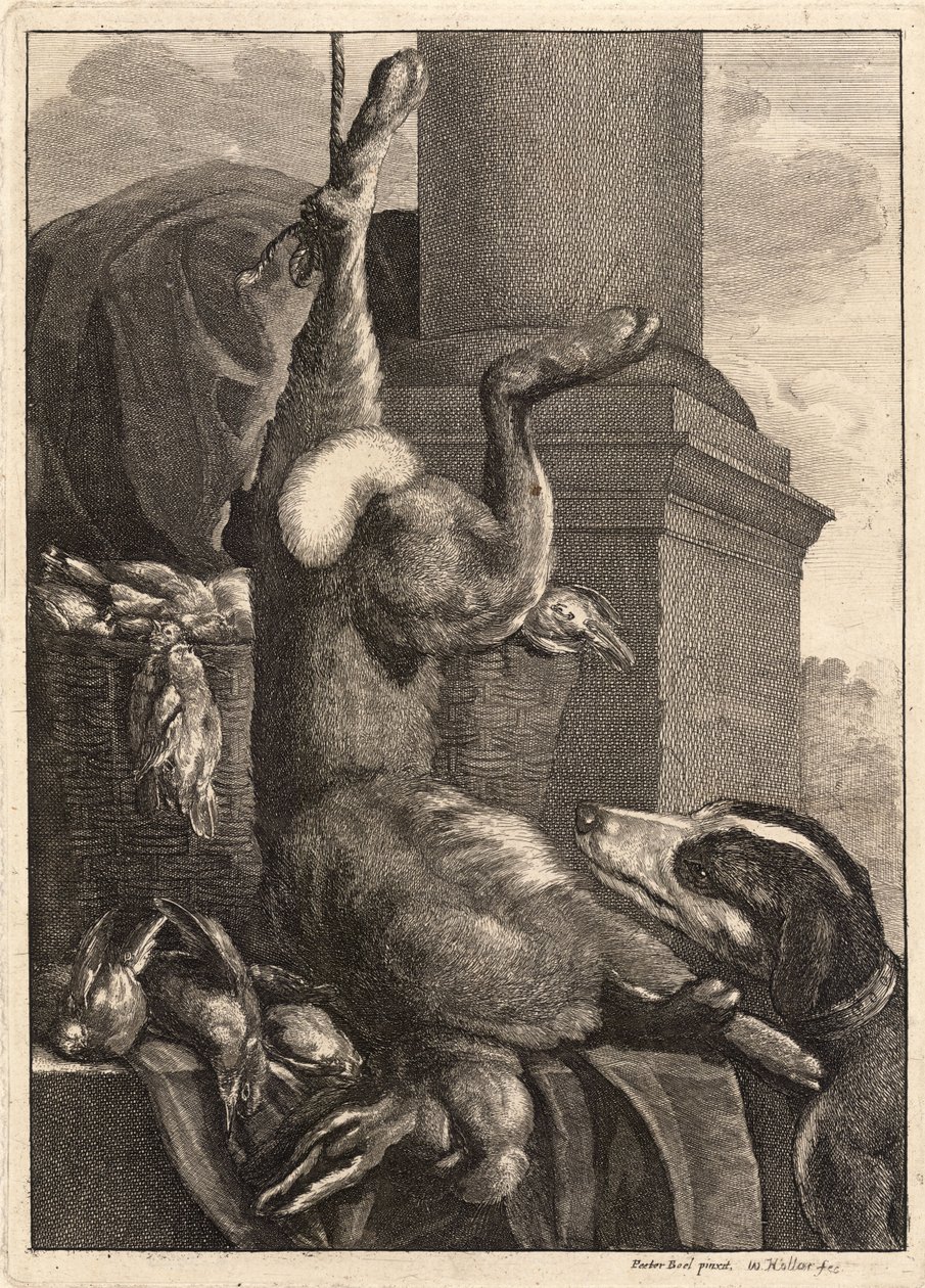 A lebre morta. Estado 3 de Wenceslaus Hollar