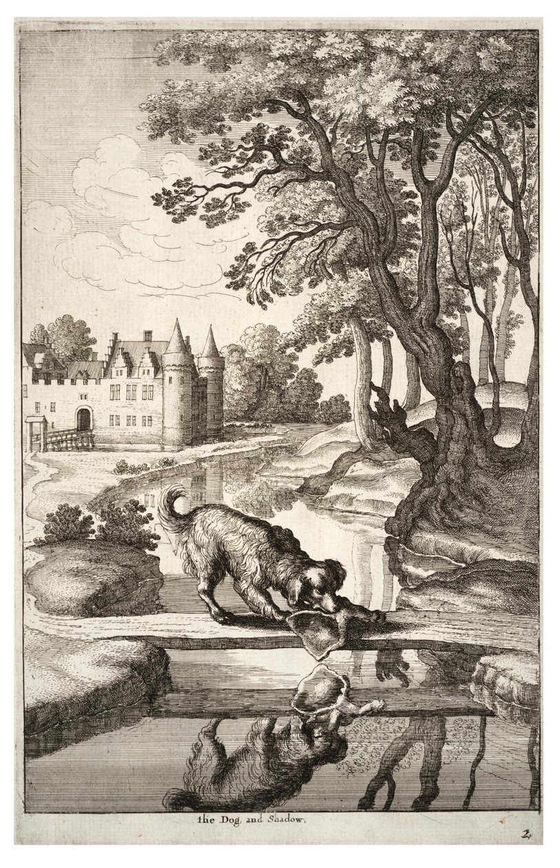 O cachorro e sua reflexão de Wenceslaus Hollar