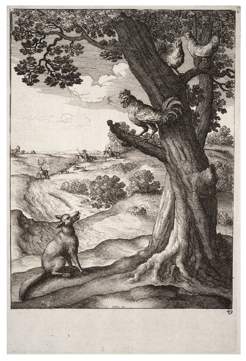 A raposa e o galo de Wenceslaus Hollar