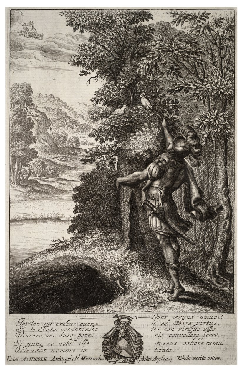 O ramo de ouro. Estado 1 de Wenceslaus Hollar