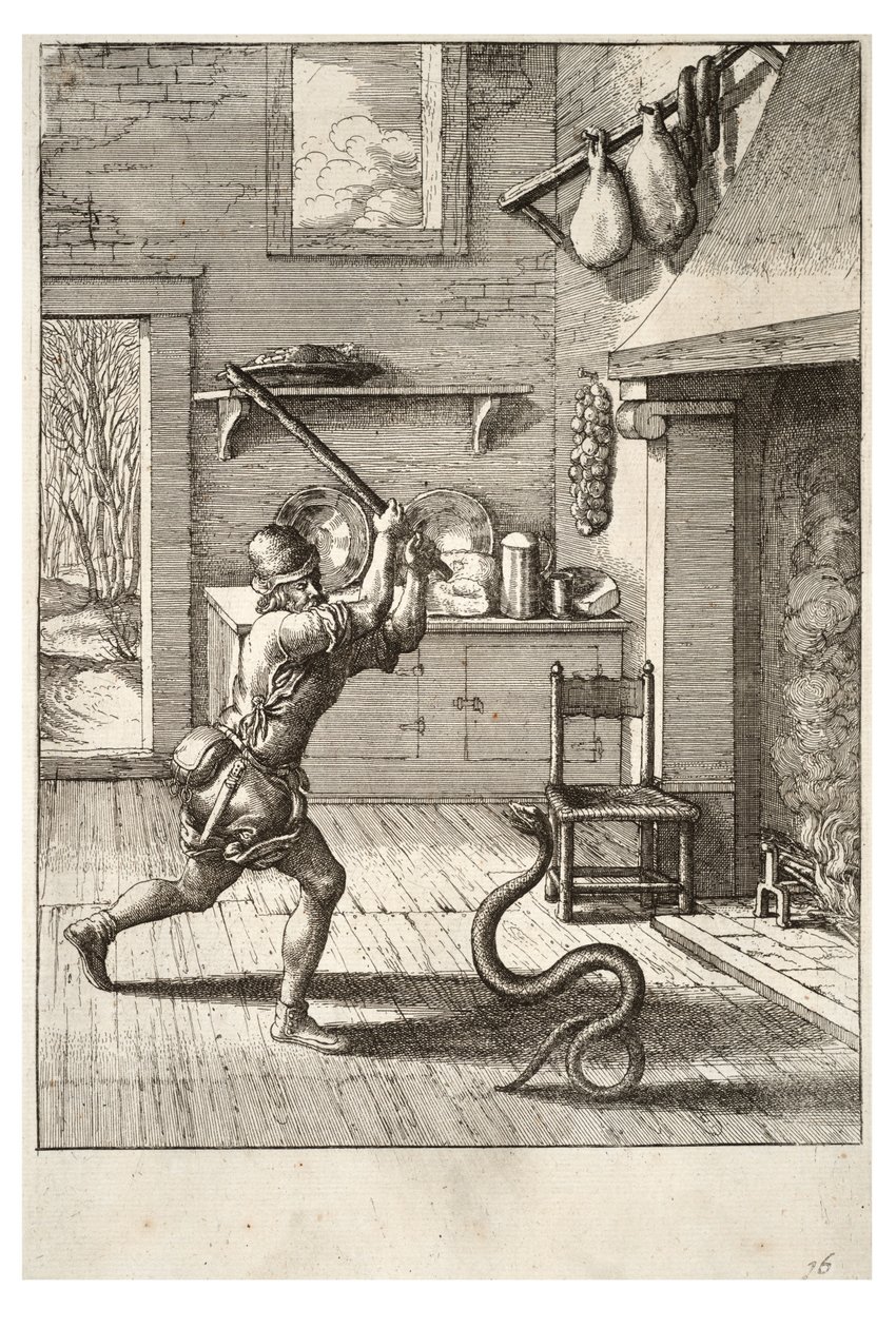 O homem e a cobra de Wenceslaus Hollar