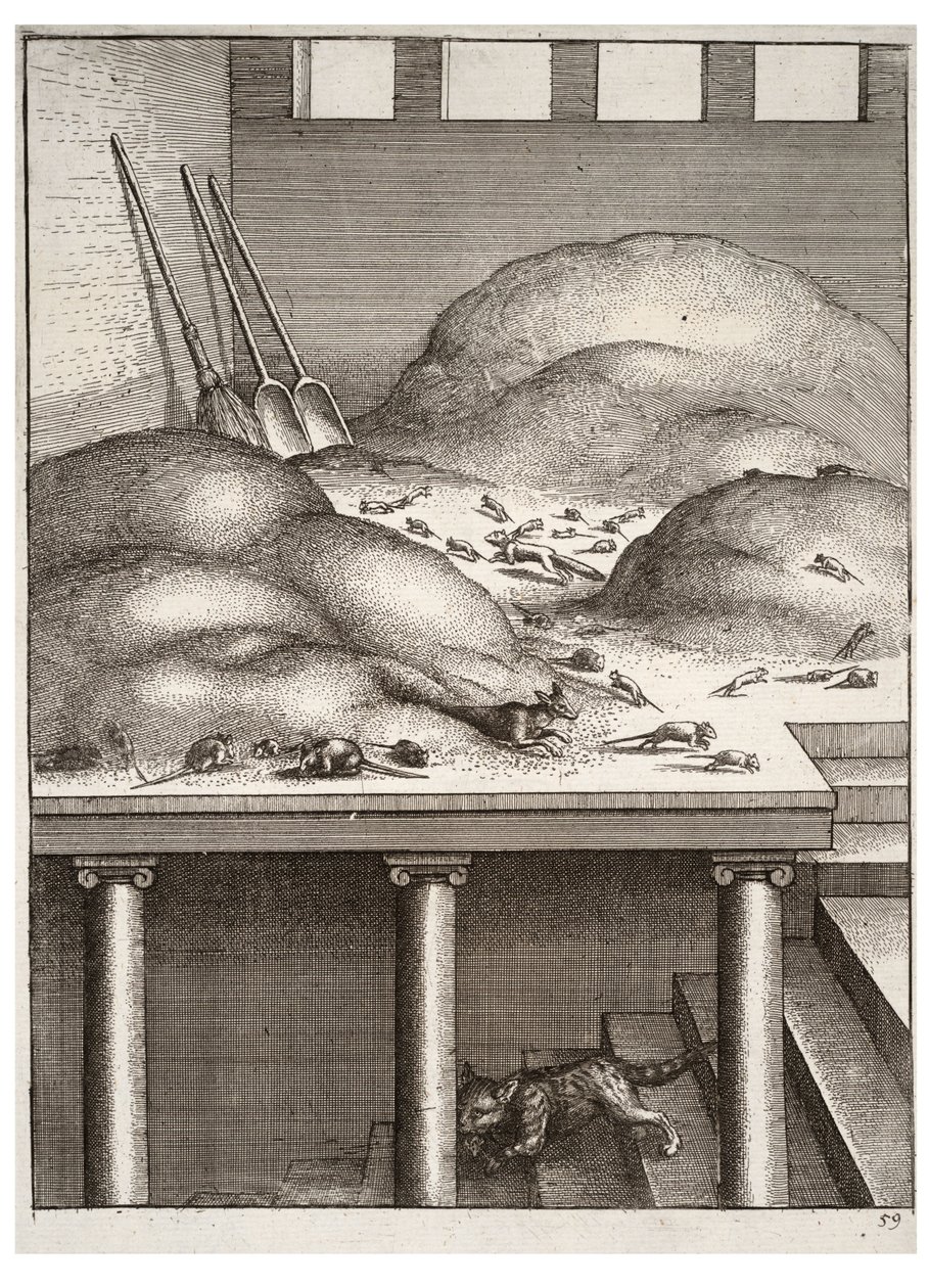 A velha doninha e os ratos de Wenceslaus Hollar
