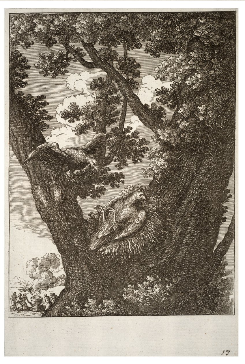O papagaio doente e sua mãe de Wenceslaus Hollar