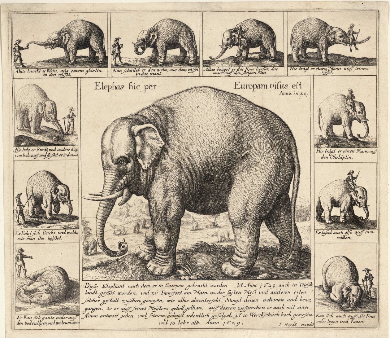 O elefante manso de Wenceslaus Hollar