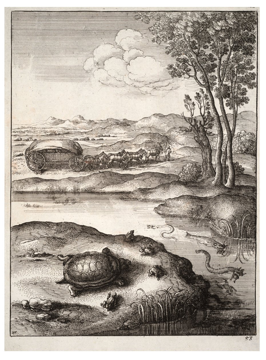 A tartaruga e as rãs de Wenceslaus Hollar